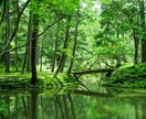 霊視　偉人　あなたの生まれた意味を占います あなたの傍にいる偉人の霊から生まれた意味を占います イメージ5