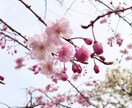 相性鑑定＊心の距離と見えない絆を読み解きます ❇12月末迄1,500円❇ 二人のご縁と出会った意味 ❇ イメージ6