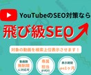 YouTube動画を検索上位表示させます キーワード検索で上位表示させるSEO対策です！ イメージ1
