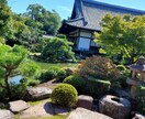 簡単な写真加工や雰囲気のある写真を提供いたします 安価で納得いただける写真を提供出来ればと考えています。 イメージ4