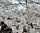 複雑恋愛セラピーします 自分でもどこか罪悪感あるやるせないそのお気持ちセラピーします イメージ1