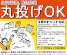 仕訳/記帳 丸投げOK！会計ソフトの確認作業します プラチナランク｜決算整理仕訳｜特急対応可｜会計ソフト｜初心者 イメージ1