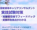 国家資格キャリコン実技試験のロープレ対策をします 試験官の目線で実技ロープレ＋改善点を明確にします イメージ1