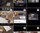 即納！YouTubeやインスタの動画を作ります お客様からいただいた動画やBGMを使って1分動画を作ります。 イメージ2
