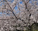 とても綺麗な風景の写真をお届けしますます 綺麗！可愛い！すてき！行った気になる！ イメージ2