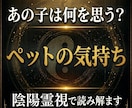 ペットの気持ちを陰陽霊視で読み解きます 大切な家族が伝えたい想いを丁寧に読み解きます イメージ1