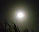 相手の気持ちを宇宙に尋ねます お相手の心は？タロットを通じて宇宙からの言葉をお伝えします イメージ1