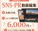 SNS・PR動画を見やすく編集します 丸投げOK｜ショートも横型も対応 イメージ1
