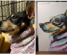 動物の絵を描きます ペットをアートにしてみませんか？ イメージ1