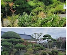 空き家などの所有地の剪定・草刈り・伐採します 現役の植木屋が相談に乗ります。 イメージ1
