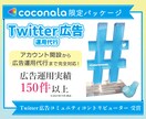 X（旧Twitter）の広告運用を承ります 【広告運用・コンサルティング・バナー制作まで完全網羅】 イメージ1