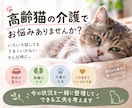 高齢猫の介護のお悩み、ご相談お受けします ​20年の猫飼育経験と専門知識であなたの不安に寄り添います イメージ1