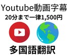 1500円でYoutube動画字幕多言語翻訳します 20分の動画まで1,500円で5ヵ国語まで納品 イメージ1