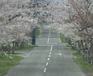 メンタルケアカウンセラーです。ぜひお待ちしています 介護福祉士は23年勤務し、色々な経験を経てカウンセラーです イメージ5