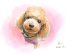 リアルタッチのペットの似顔絵描きます お写真から鉛筆とデジタル着彩であたたかい仕上がりに。 イメージ6