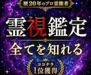プロ霊能者が貴方の【知りたい事全て】を霊視で視ます 霊視/透視の最高峰の鑑定で、貴方の悩みを解決へ導きます イメージ2