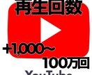 YouTube拡散し再生数を1000回〜増やします 目標値まで再生数を保証いたします。 イメージ1