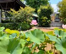 ホッとして心がほどけるお時間をあなたにお届けします あなたの思いをおきかせください。 イメージ1