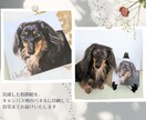 きらめく瞳のペット似顔絵｜キャンバス印刷できます 写真が暗くても丁寧に調整します／犬猫小動物OK／ギフトにも♪ イメージ4