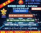 強力被リンクピラミッドで最適SEO対策を実現します 追加＋１URL３５００円のみ！無料プレミアム・インデックス付 イメージ10