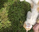 たっぷり1週間♡あなたを癒します 何でも話してください＊！受け止めます...♡ イメージ3
