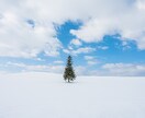 Lightroomのプリセット（4種）を販売します 簡単にいろいろな雰囲気の写真に仕上げます！ イメージ5