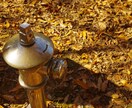 一眼やスマホで撮った素材写真を提供致します 個性的な写真素材をお探しの方に！ イメージ1