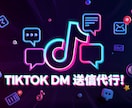 TIKTOKのDM運用代行致します ターゲットを絞って効果的なSNS運用！ イメージ2