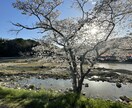 発達・不登校・シングルの悩み、整理します 経験者にしか分からない事もありますよね。 イメージ4