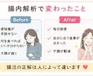 管理栄養士が腸内解析結果を解説します 10年以上の便秘経験から寄り添います イメージ5