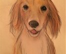 お写真を基にしたパステル画です。ます 可愛いペットや大切な方を絵にしてみませんか？ イメージ1