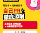 一般企業への転職の履歴書＆職務経歴書を添削します 特に自己PRを重点的に仕上げます イメージ1