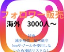 Instagram 海外フォロワーを増加させます Instagramを宣伝します 海外フォロワー3000人〜 イメージ1