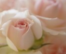 恋愛相談 辛い恋のお悩み解決します あなたの心に寄り添い希望ある未来へ導きます。 イメージ3