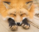 あなたのお悩み（仕事、人間関係、愚痴など）聴きます モヤモヤした気分から脱出したいあなたへ！ イメージ1