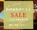 YouTubeに出す動画を編集致します ココナラ初心者ですので、金額はご相談ください！ イメージ1