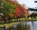 季節の写真提供します 色々な季節や風景の写真提供します！ イメージ1