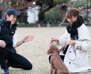 愛犬のしつけ、飼い方で悩んでいる方の相談に乗ります 公認トレーナー資格有り！ドッグトレーナー歴10年以上！ イメージ3