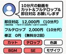 動画編集、即日対応できます ○○のように動画編集、サムネイル制作をする事もできます！ イメージ5