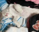 経験上、離婚問題などについてアドバイスします バツ２です。結婚生活って色んなパターンありますよね〜。 イメージ2