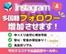 Instagramの多国籍フォロワーを増加させます 期間限定で1月15日まで特別価格にて出品中！ イメージ1