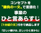 あなたの事業内容を「ひと言あらすじ」で言語化します コンセプトを迷わず語れる一文に。1分紹介文付きで納品します！ イメージ1