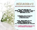 YouTubeの動画編集を代行致します ママ目線/女性目線/で1つずつ丁寧に動画編集させてもらいます イメージ3