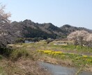 ノウハウコレクター脱出させます 「情報商材を買ったのに 稼げない」という悩みを解決しましょう イメージ1