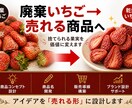 捨て素材を売れる商品に変えます アップサイクル商品を収益化設計 イメージ2