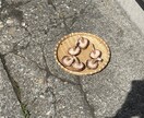 なんとなくから話してください。聞きます なんでもいいから話したい人、ききます。 イメージ1