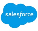 Salesforceの軽作業を代行いたします 軽微な改修・設定変更・Flow修正を代行します イメージ1