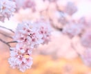 何十年後に見返しても温かい写真を残します ありのままを自然に、「きずなフォト」フィルムのような温かさを イメージ8