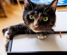 猫のホワイトボードを販売しています WEBサイトなどで、お知らせ用掲示板にご利用ください。 イメージ4