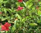 あなたのお悩みお聞きします 100人以上の相談受けてきました イメージ1